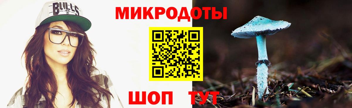 купить наркоту  Вход с VPN  Туймазы  Галлюциногенные грибы GOLDEN TEACHER 